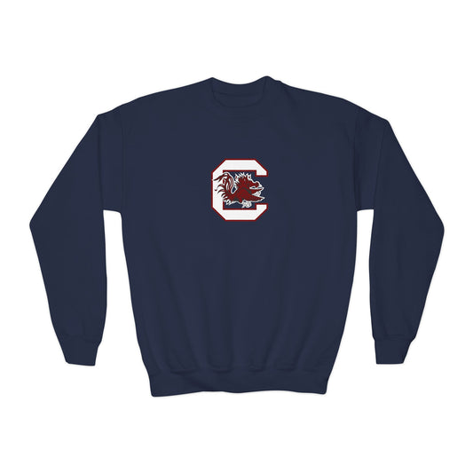 South Carolina Gamecocks Youth Sweatshirt