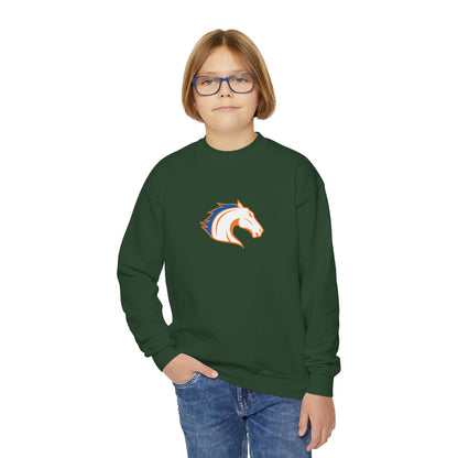 Texas Arlington Mavericks Youth Sweatshirt