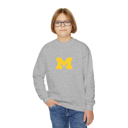 Michigan Wolverines Youth Sweatshirt