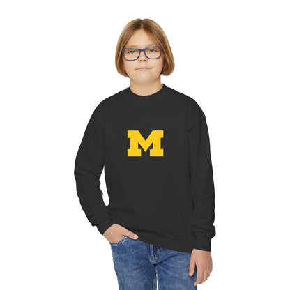 Michigan Wolverines Youth Sweatshirt